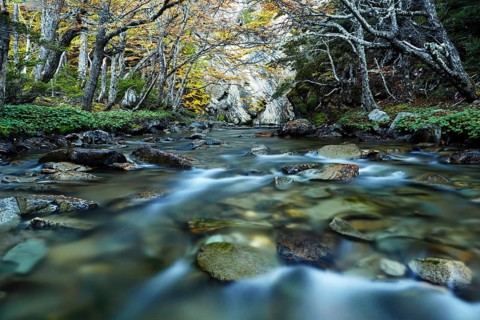 River