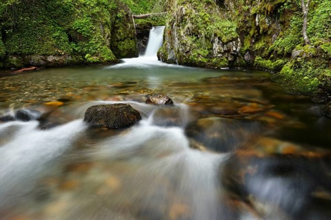 Stream
