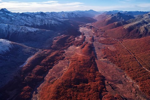 Aerial view of bog