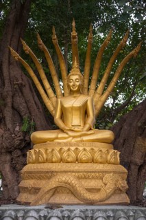 Buddha Statue