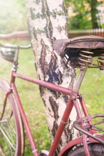 Rural scene with an old retro bike by leaning against a birch tree