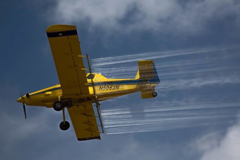 Crop duster airplane applies pesticides to a field in the Mississippi Delta