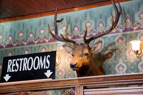 The Gold Coin Saloon
