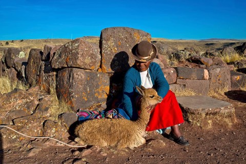 Aymara Indian woman in traditional dress sitting against stone wall with guanaco