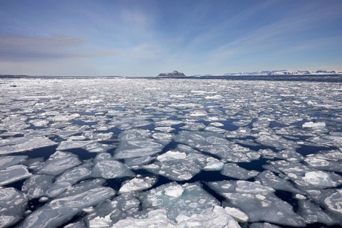 Pancake ice on the water surface