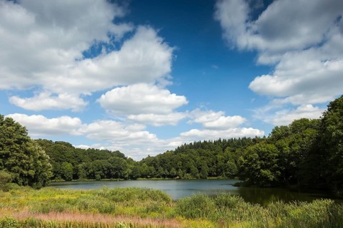 Holz Maar