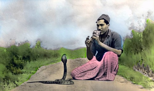 Snake charmer with a cobra