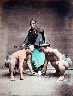 Japanese sumo wrestlers