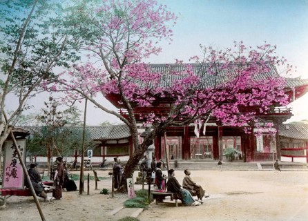 Daibutsu Nara temple