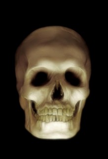 Skull