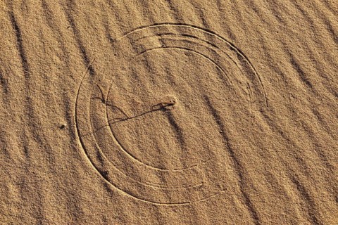 Circular texture of moving grass on a sanddune