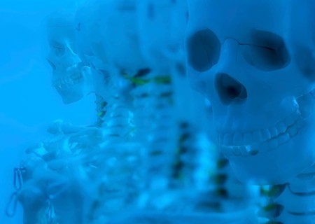 Skeletons and skulls in a row