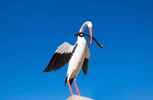 Stork fountain at the main square