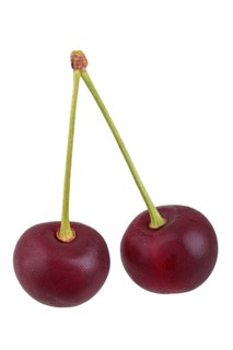 Sour cherry