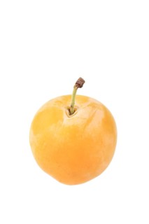 Qulins Greengage