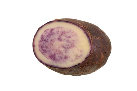 Potato