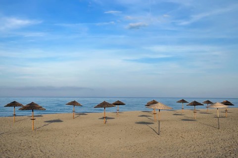 Sunshades on the beach
