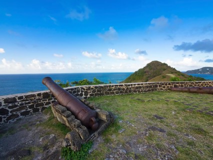 Cannon at Fort Rodney