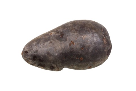 Potato