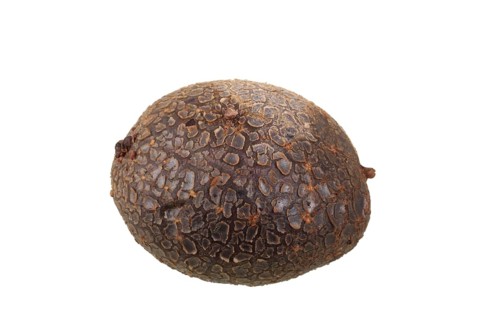 Potato