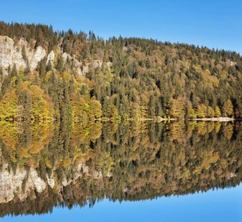 Lake Feldsee and Feldberg mountain