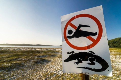 Warning sign for crocodiles and swimming ban