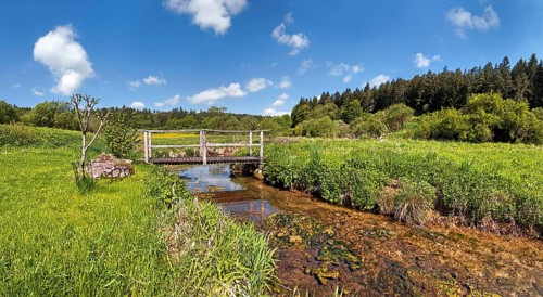 Bridge over the Morsbach stream with green meadows