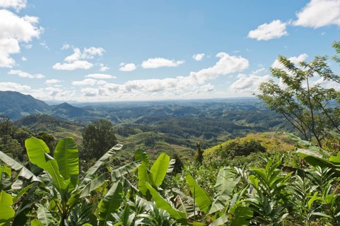 Vast mountainous landscape with banana trees at front