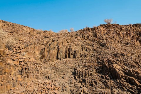 Organ pipes