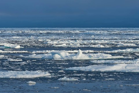 Ice floes