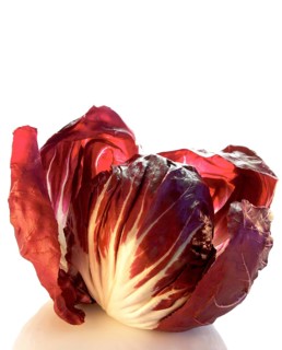 Radicchio