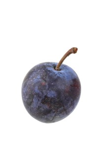 Plum