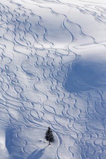 Ski tracks in deep snow