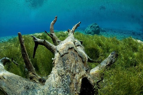 Underwater view