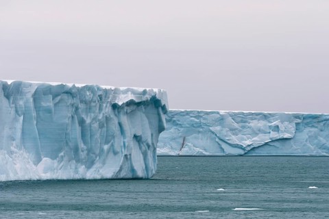 Brasvellbreen