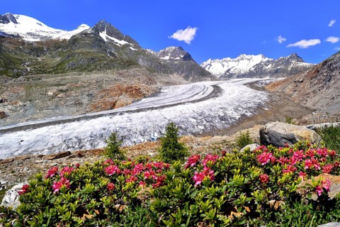 Great Aletsch Glacier
