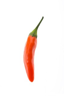 Red chili pepper
