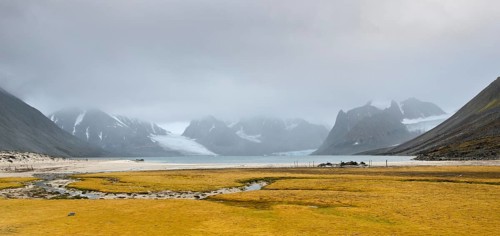 Magdalenefjorden