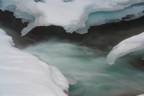 Ice sculptures