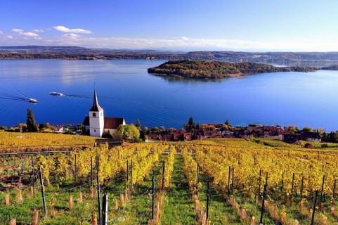 Lake Biel and vineyards in autumn