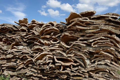 Stacked bark of the Cork Oak (Quercus suber)