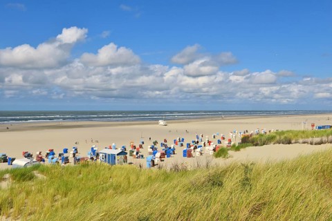 Sandy beach beach