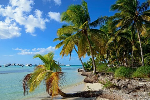 Palm Beach