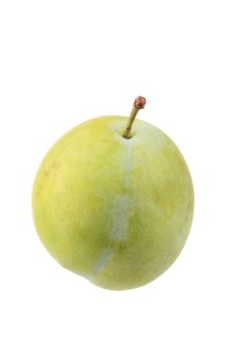 Plum