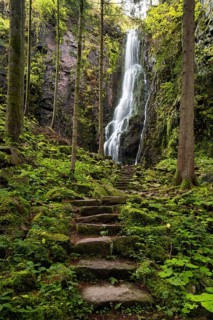Waterfall in the forest
