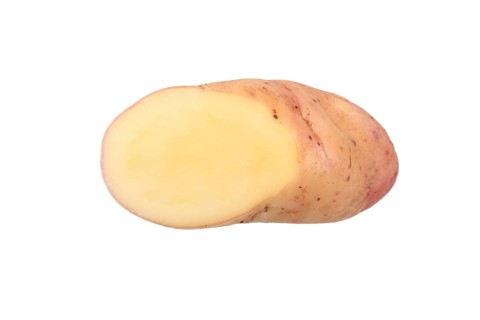 Potato