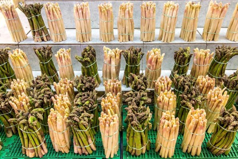 Asparagus