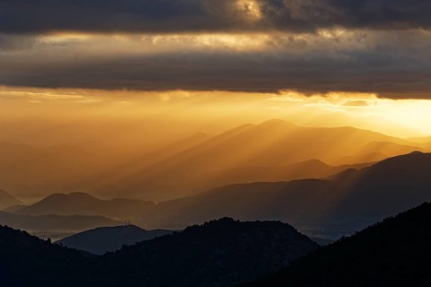 Early morning