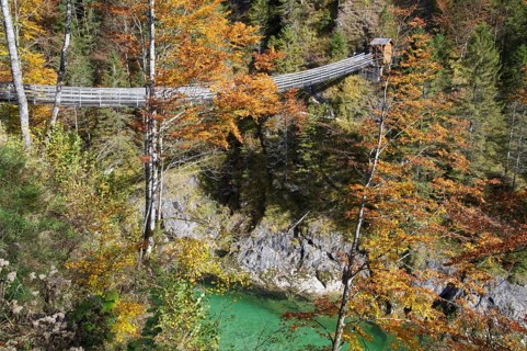 Rope bridge or plant bridge to Wasserlochklamm Gorge