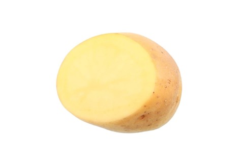 Potato